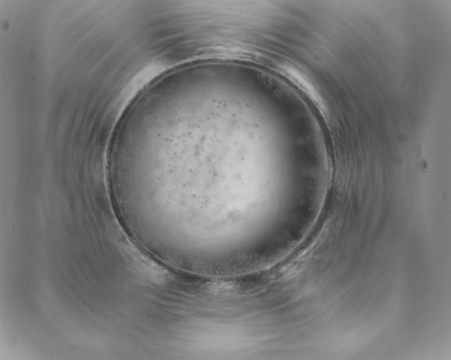 X0000089891283200706281405