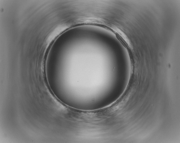 X0000089891285200706281405
