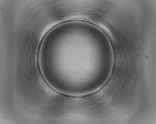 X0000089891288200706281405