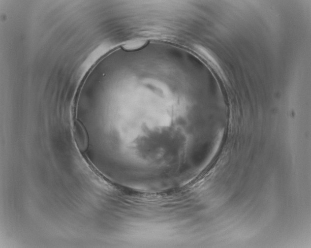X0000089891291200706281405
