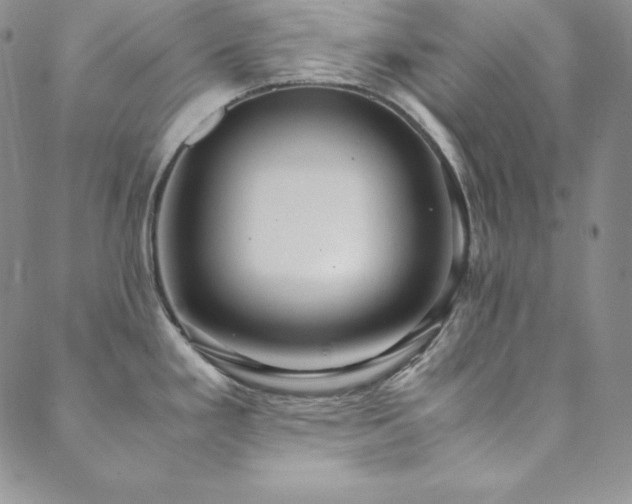 X0000089891293200706281405