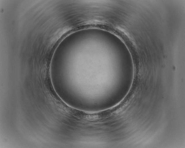 X0000089891313200706281405