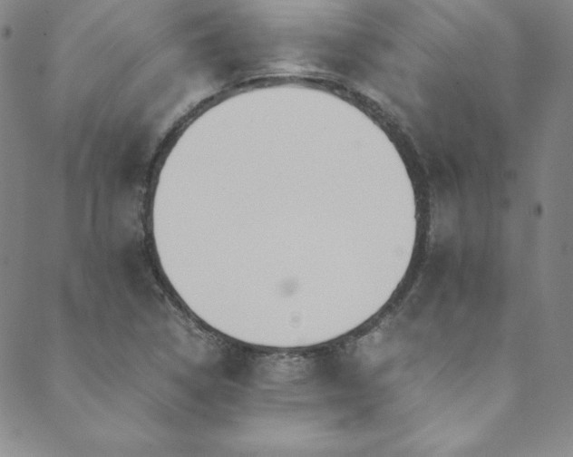 X0000089891314200706281405