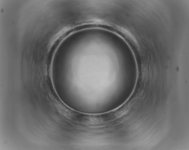 X0000089891318200706281405