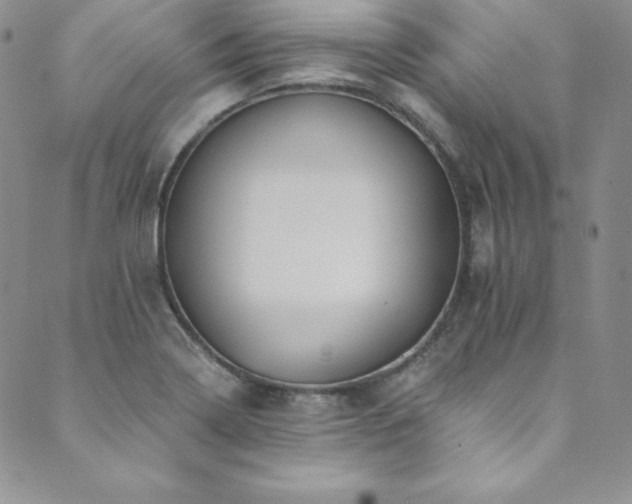 X0000089891322200706281405