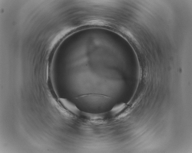 X0000089891323200706281405