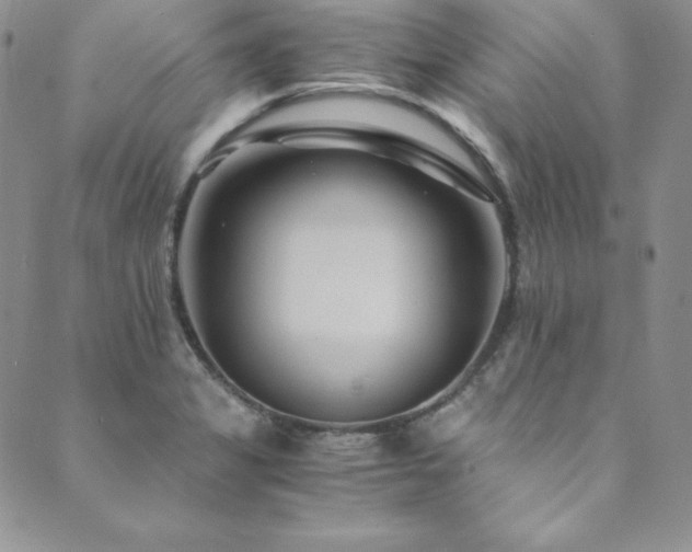 X0000089891325200706281405