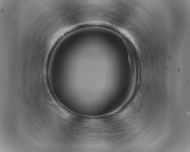 X0000089891327200706281405