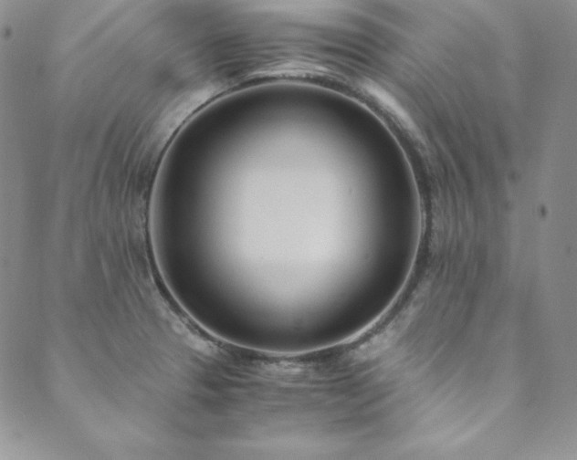 X0000089891329200706281405