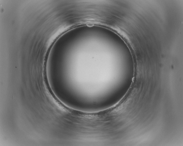 X0000089891333200706281405