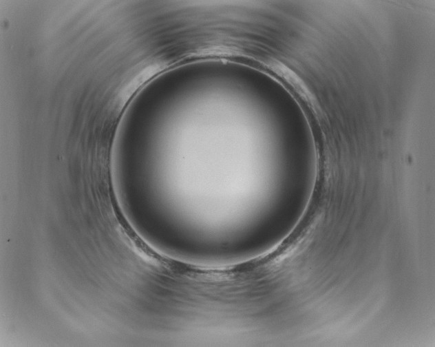 X0000089891337200706281405