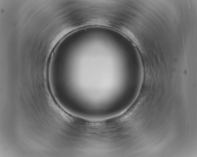 X0000089891339200706281405
