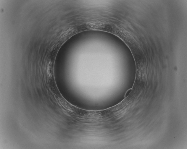 X0000089891346200706281404
