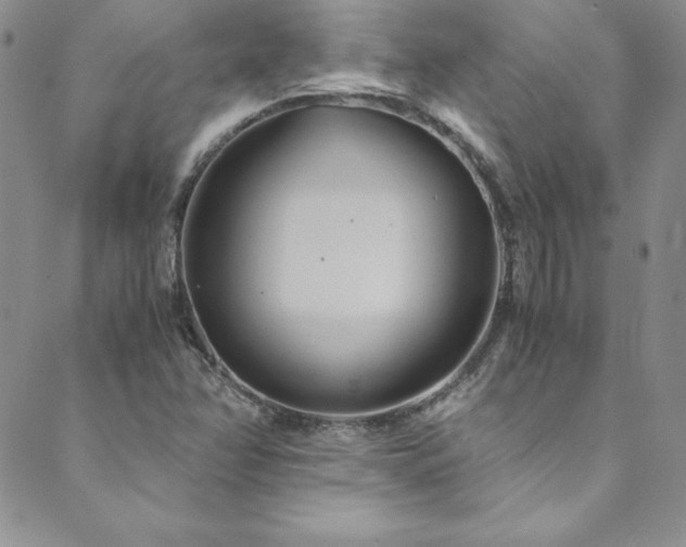 X0000089891358200706281404