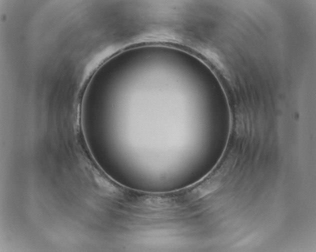 X0000089891366200706281404