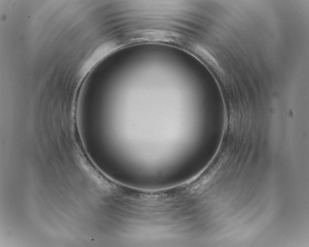 X0000089891378200706281404