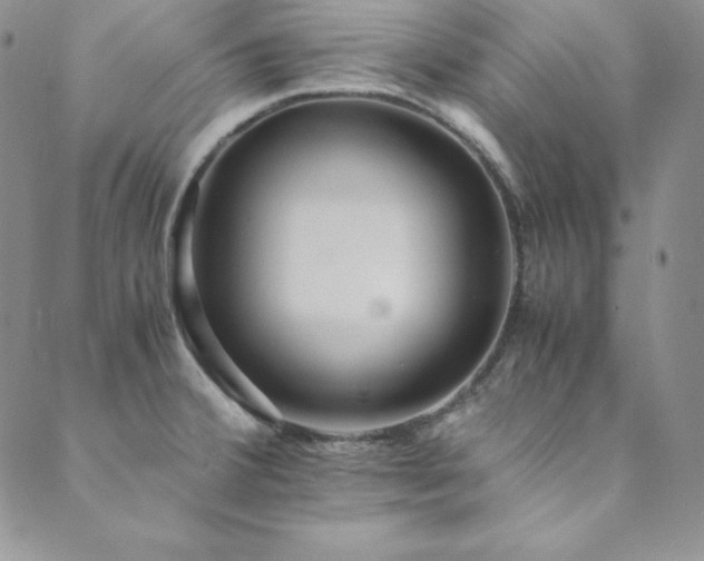 X0000089891380200706281404