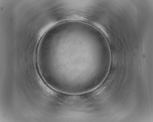 X0000089891387200706281404