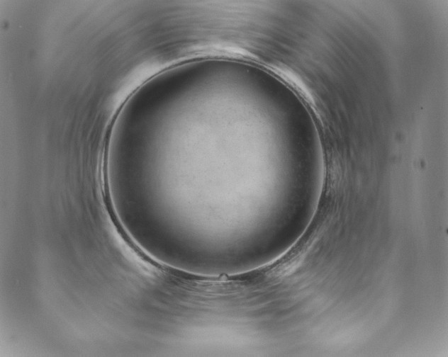 X0000089891391200706281403