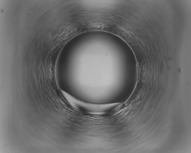 X0000089891394200706281403