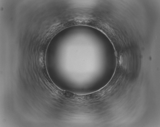 X0000089891396200706281403