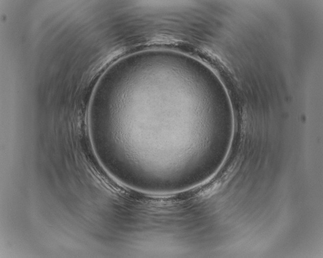 X0000089891401200706281403