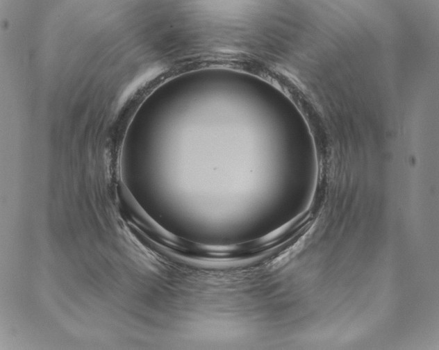 X0000089891402200706281403