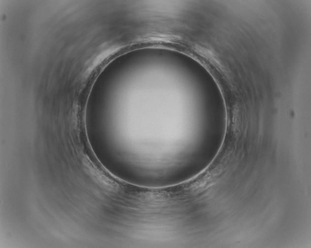 X0000089891404200706281403