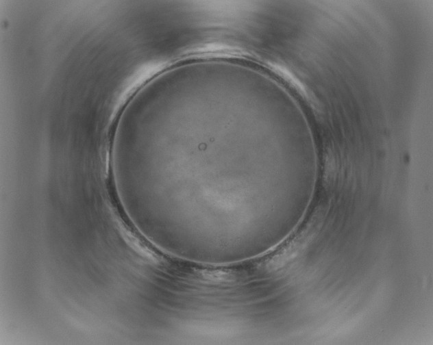 X0000089891413200706281403