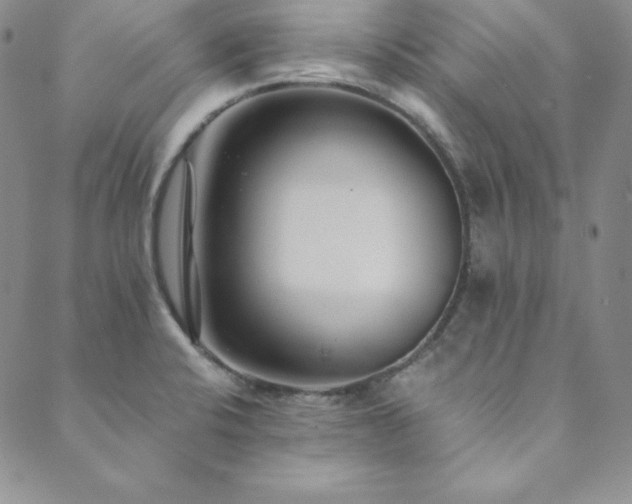 X0000089891424200706281403