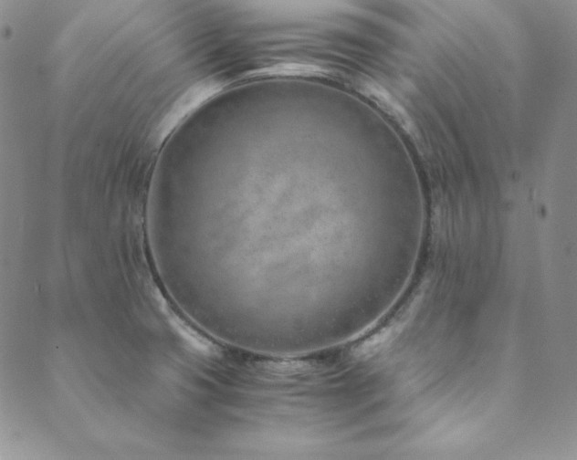 X0000089891425200706281403