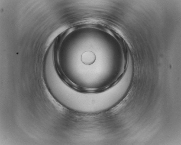 X0000089891426200706281403