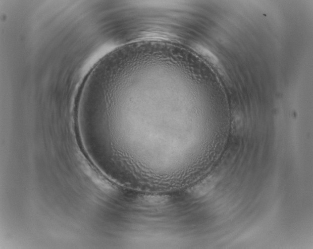 X0000089891427200706281403
