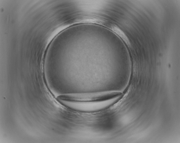 X0000089891436200706281403