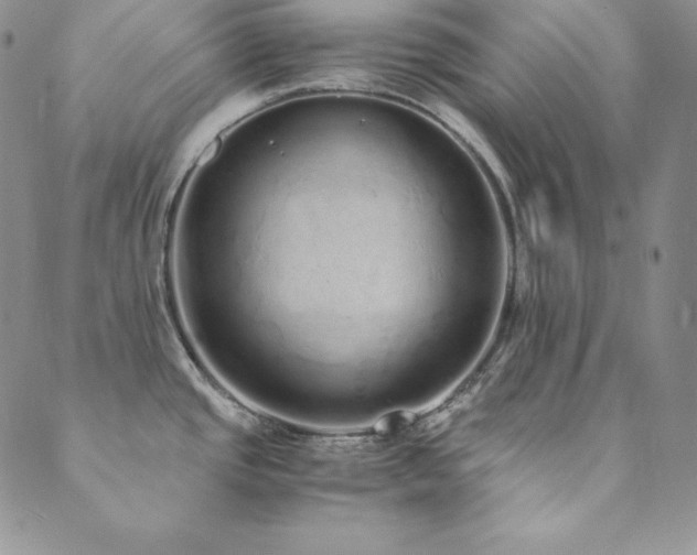 X0000089891437200706281403
