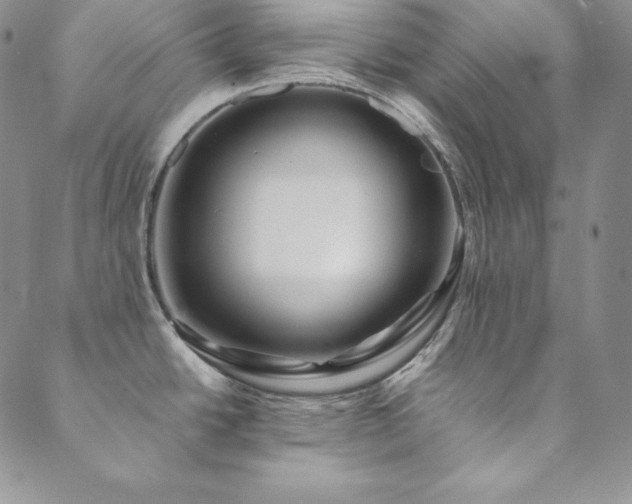 X0000089891438200706281403