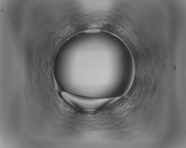 X0000089891441200706281403