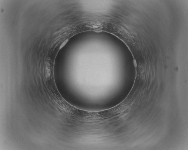 X0000089891442200706281403