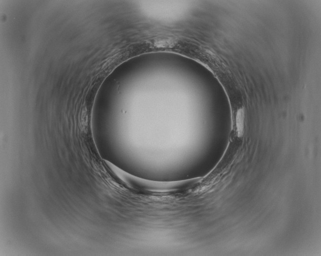 X0000089891443200706281403