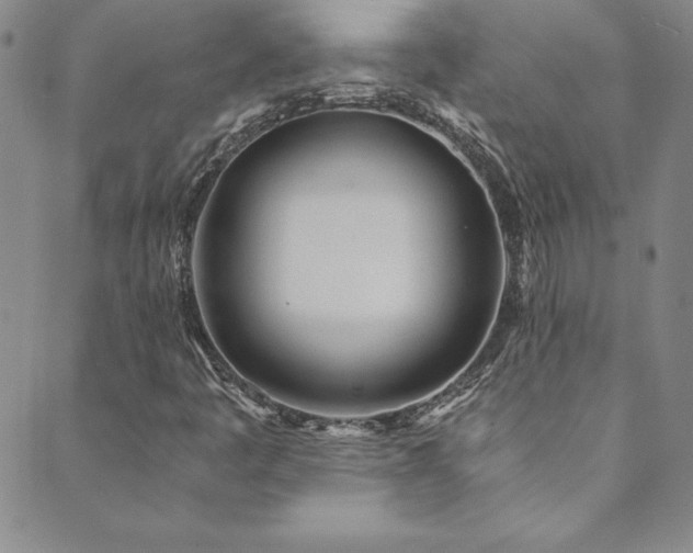 X0000089891445200706281403