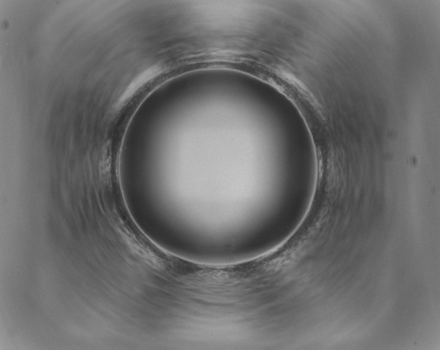 X0000089891450200706281403
