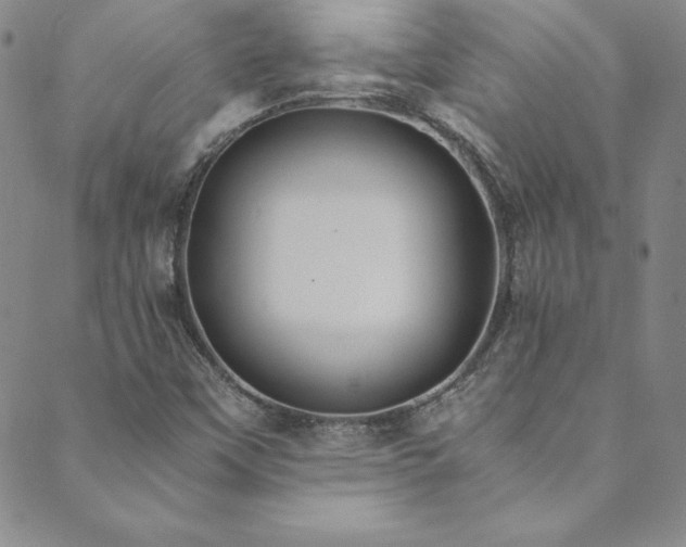 X0000089891451200706281403