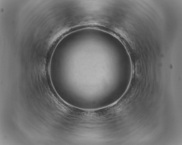 X0000089891452200706281403