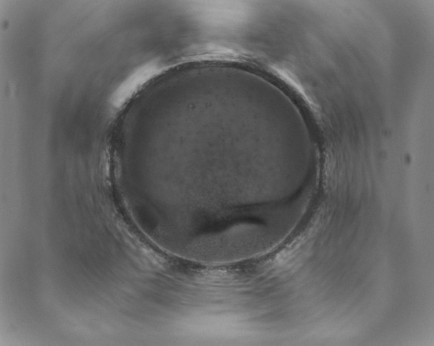 X0000089891455200706281402