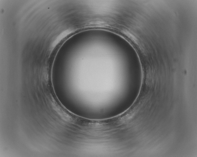 X0000089891458200706281402