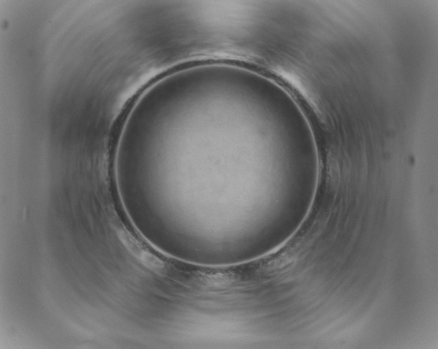 X0000089891460200706281402