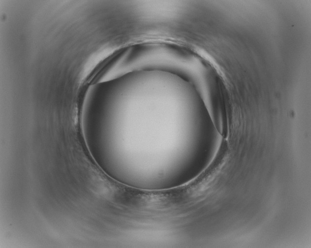 X0000089891461200706281402