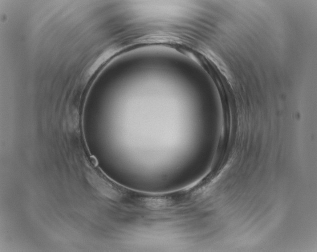 X0000089891465200706281402