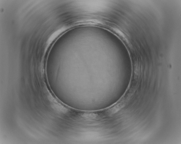 X0000089891466200706281402