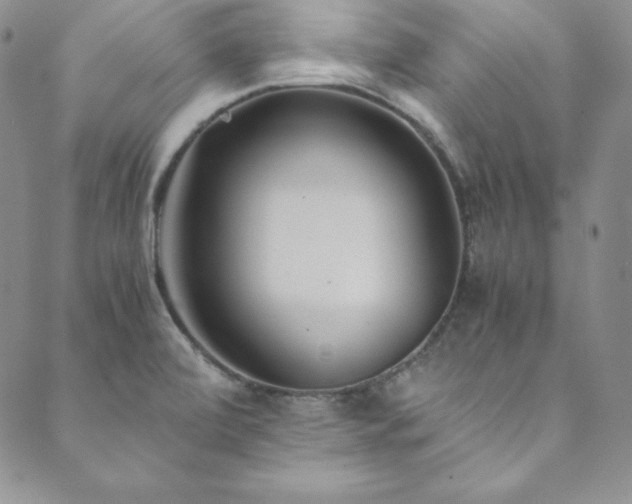 X0000089891472200706281402